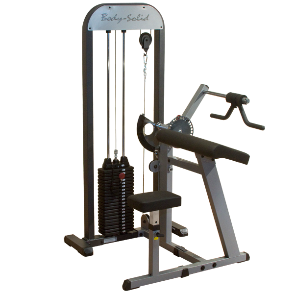 Body Solid Pro Select Bizeps-Trizeps Kombi (GCBT-STK)