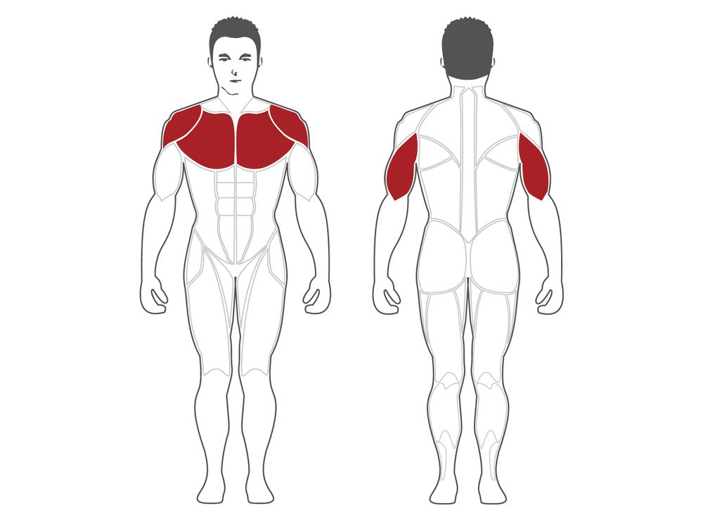 Steelflex Seated Decline Press (PSDP-BR)
