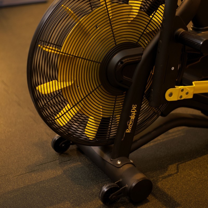 Renegade AirBike AB100