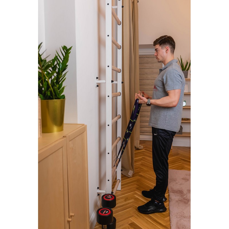 BenchK Sprossenwand 732W, Metall weiss/ Buche hell