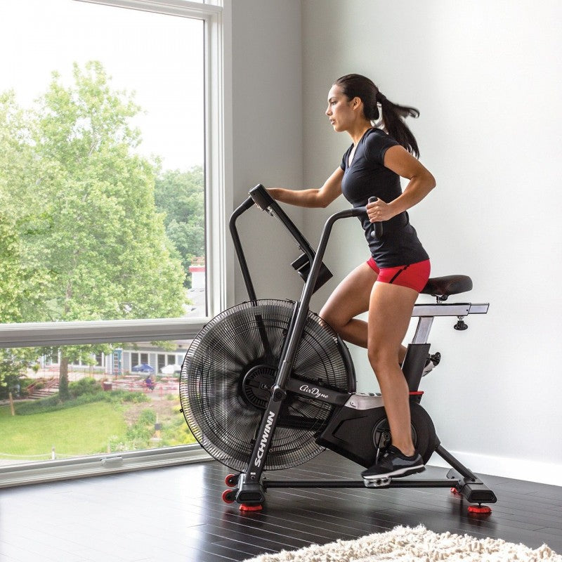Schwinn Airdyne AD8i AirBike