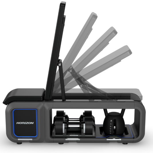 Horizon Fitness Bench