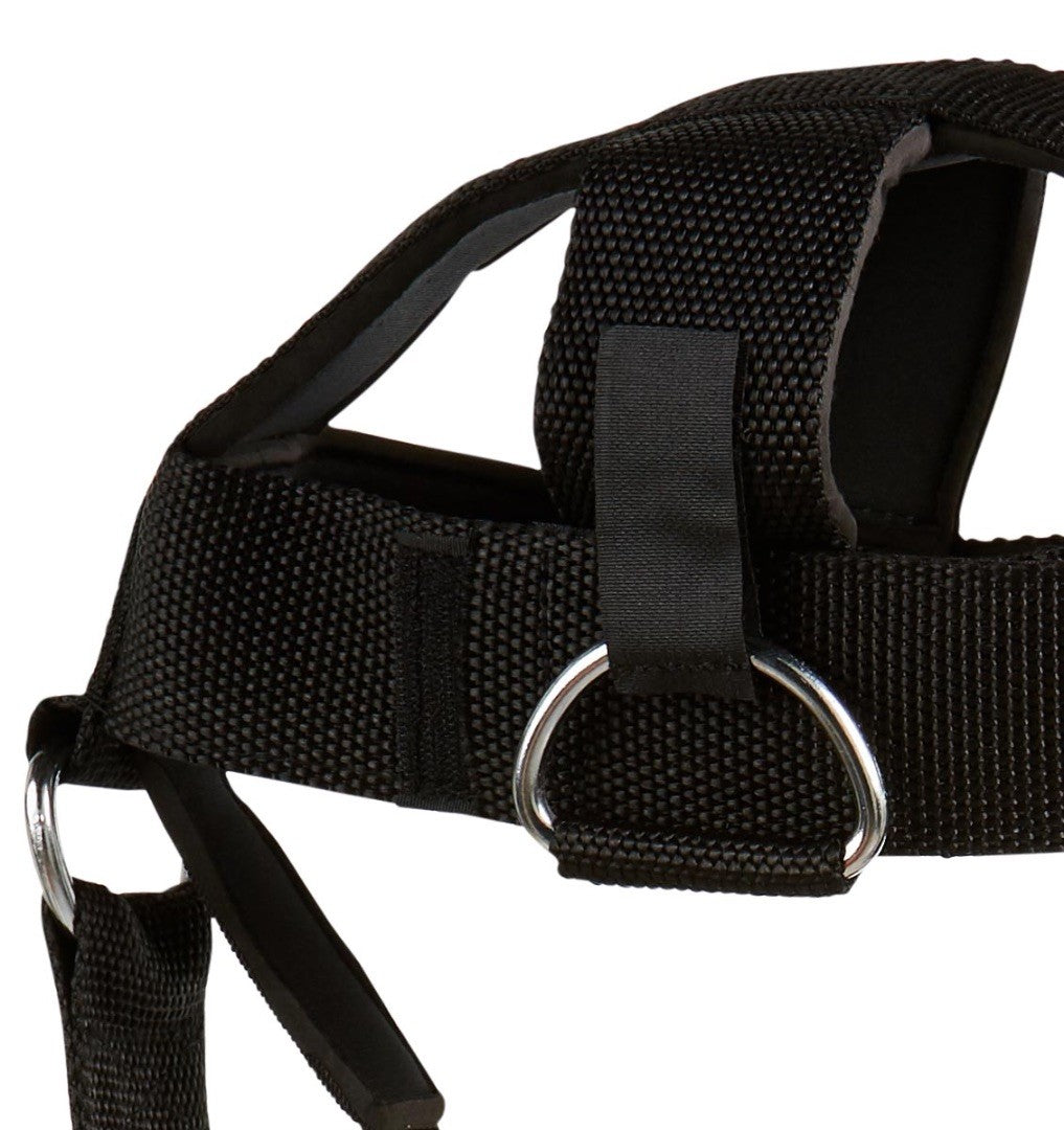 Schiek Head Harness - Nackentrainer (1500H)