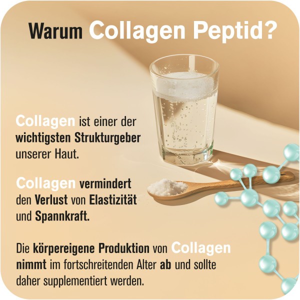 All Stars Collagen Peptides 300g Dose