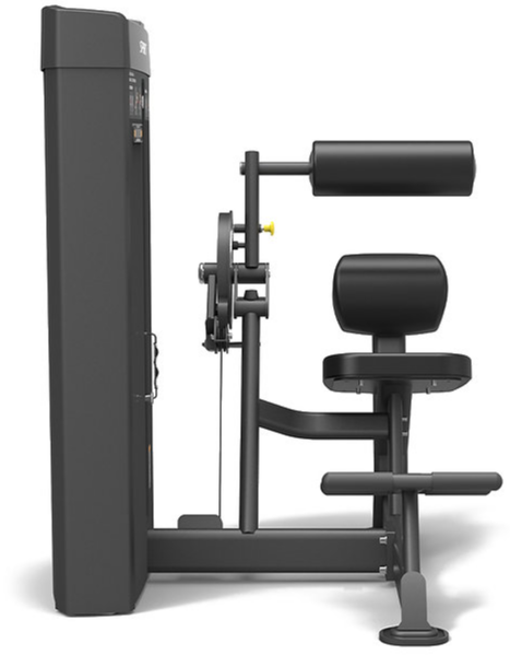Spirit Fitness Commercial Dual Abdominal / Back Extension Doppelfunktionsgerät (SP-4609)