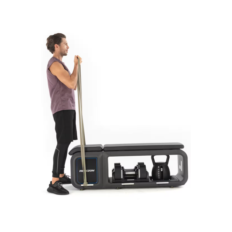 Horizon Fitness Bench