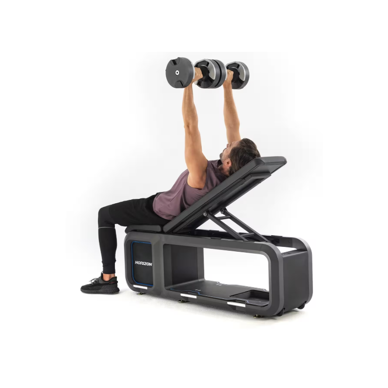Horizon Fitness Bench