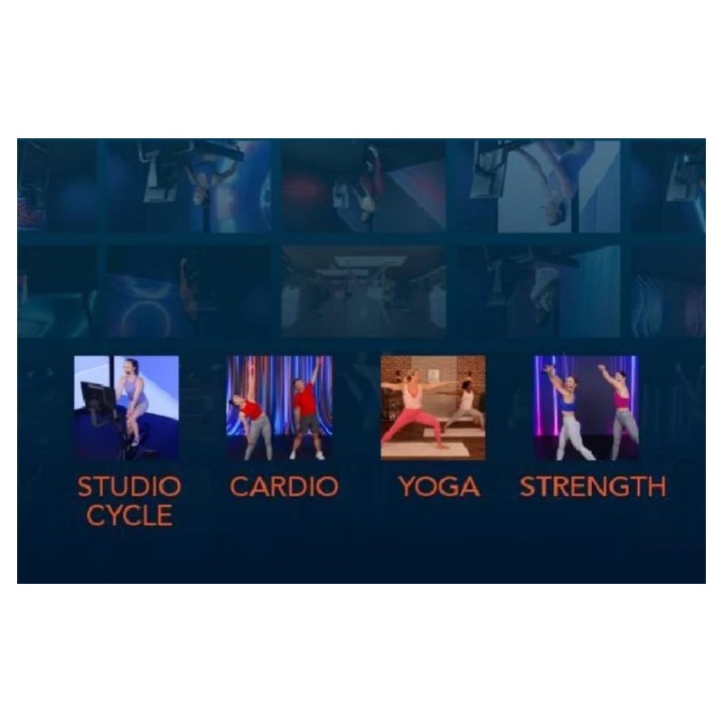 Horizon Fitness XP Indoor Cycle
