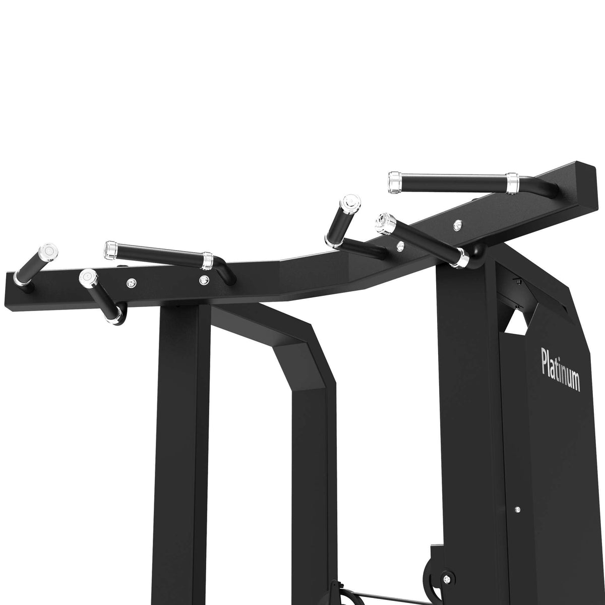 Tunturi Platinum Dual Assisted Chin Up-Dip - Selectorized