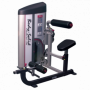 Body Solid Pro Club Line Series II Ab Back (S2ABB) Postes isolés - 2