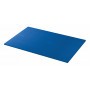 Airex Hercules gymnastics mat blue - L200 x W100 x D2.5cm Gymnastics mats - 1
