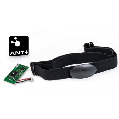 Kit technologique de fréquence cardiaque Waterrower (ANT+)-Cardiofréquencemètre-Shark Fitness AG
