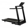 Hammer Sport Treadmill Q.Vadis 10.0 (5163) Treadmill - 2