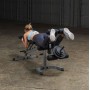 Body Solid Universal Bench GFID31 Training Benches - 16