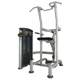 Impulse Fitness Weight Assisted Chin / Dip Kombi (IT9520) Einzelstationen Steckgewicht - 1