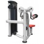 Impulse Fitness Lateral Raise (IT9524) Single Stations Plug-in Weight - 5