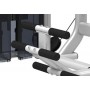Impulse Fitness Abdominal/Back Extension Kombi (IT9534) Einzelstationen Steckgewicht - 5