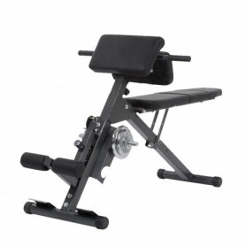 Finnlo abdominal and back trainer (3869) training benches - 1