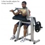 Body Solid biceps/triceps machine (GCBT380) dual function equipment - 4