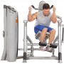 Hoist Fitness ROC-IT Bauchmaschine (RS-1601) Einzelstationen Steckgewicht - 8