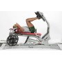 Hoist Fitness ROC-IT presse jambes Dual Action Plate Loaded (RPL-5403) stations individuelles disques - 13