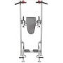 Hoist Fitness Tree - leg lift / pull-up / dip station HF-5962 Training benches - 9
