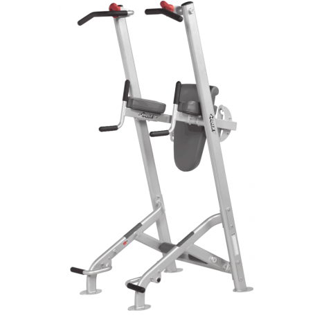 Hoist Fitness Tree - leg lift / pull-up / dip station HF-5962-Weight benches-Shark Fitness AG