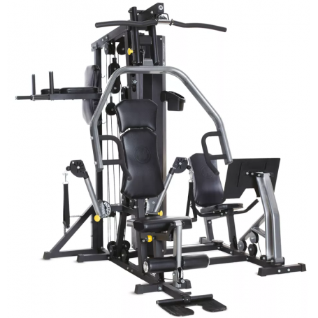 Horizon Fitness Torus 5 Multistation-Multi-Gym-Shark Fitness AG