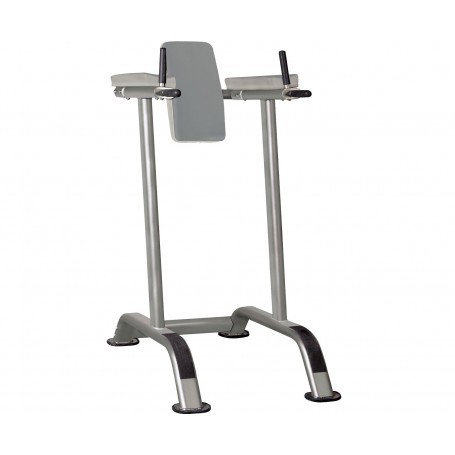 Impulse Fitness Leg Lift/Dip Station (IT7010)-Weight benches-Shark Fitness AG