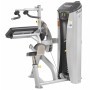 Hoist Fitness Biceps/Triceps (HD-3100) Dual-function equipment - 2