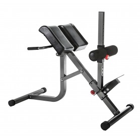 BodyCraft Hyperextension 45Degrees/Roman Chair Combo F670 Training Benches - 1