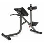 BodyCraft Hyperextension 45Degrees/Roman Chair Combo F670 Training Benches - 2
