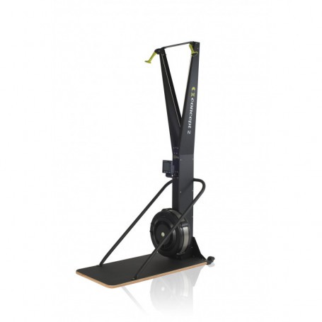 Concept2 SkiErg with PM5 monitor-Upper body ergometer-Shark Fitness AG