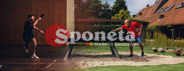 Sponeta