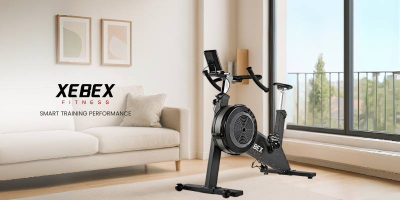 Xebex