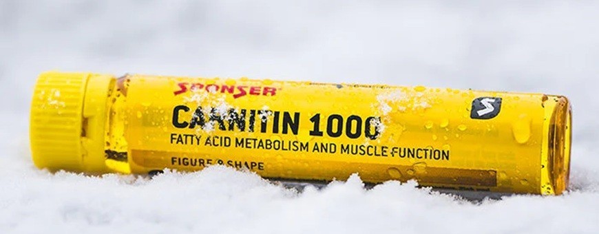 L-Carnitin