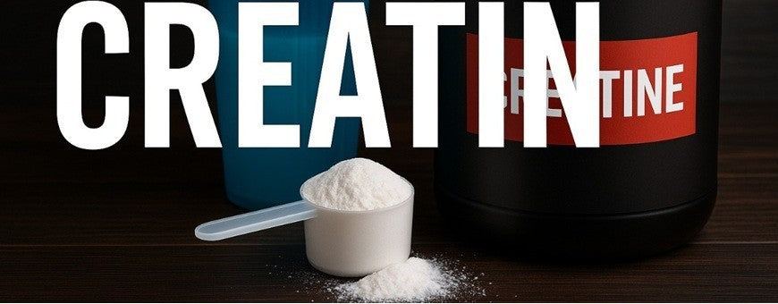 Kreatin / Creatin