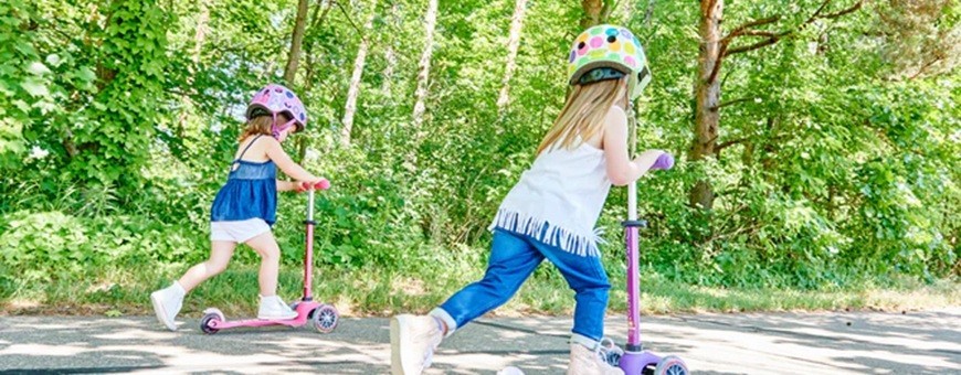Mini- und Maxi-Kickboards – Shark Fitness