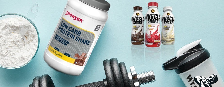 Sporternährung – Shark Fitness