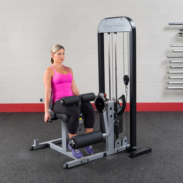 Body Solid Pro Select Beinstrecker-Beinbeuger- Kombi GCEC-STK
