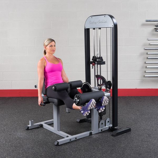 Body Solid Pro Select Beinstrecker-Beinbeuger- Kombi GCEC-STK