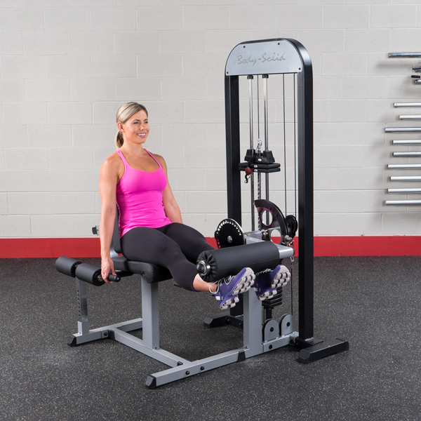 Body Solid Pro Select Beinstrecker-Beinbeuger- Kombi GCEC-STK