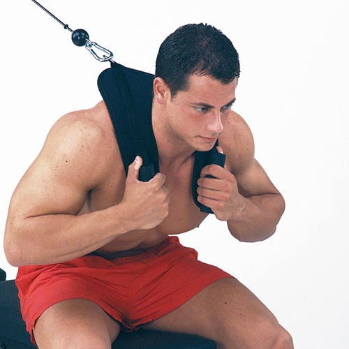 Body Solid Zugschlaufe für Bauchübung (ACH18)