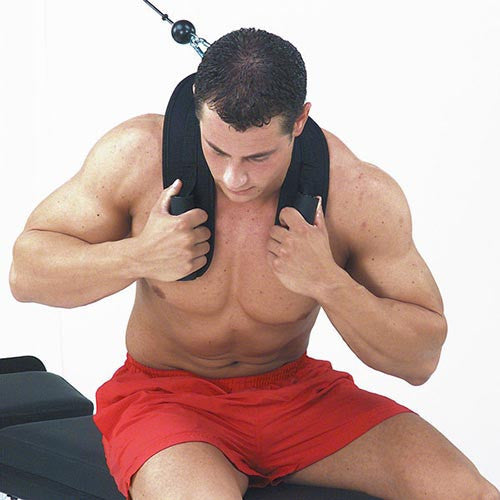 Body Solid Zugschlaufe für Bauchübung (ACH18)