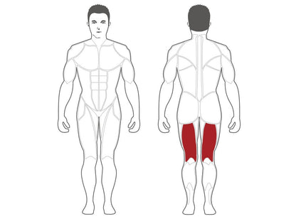 Steelflex Leg Curl (PLLC-BR)