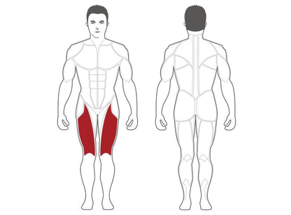 Steelflex Leg Extension (PLLE-BR)