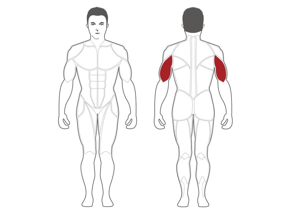 Steelflex Triceps Extension (PLTE-BR)