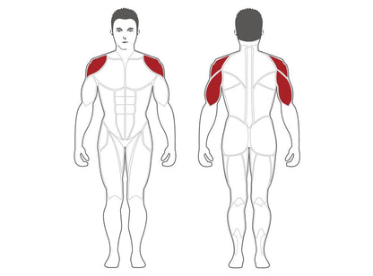 Steelflex Shoulder Press (PLSP-BR)