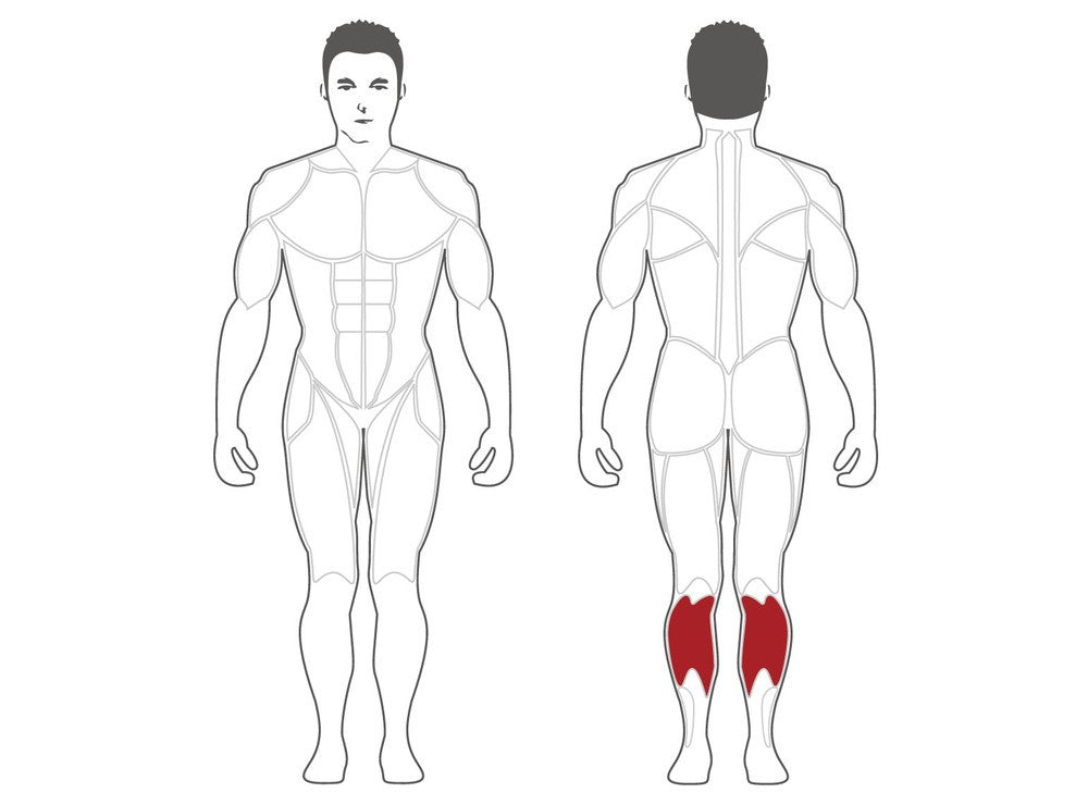 Steelflex Seated Calf (PLSC)