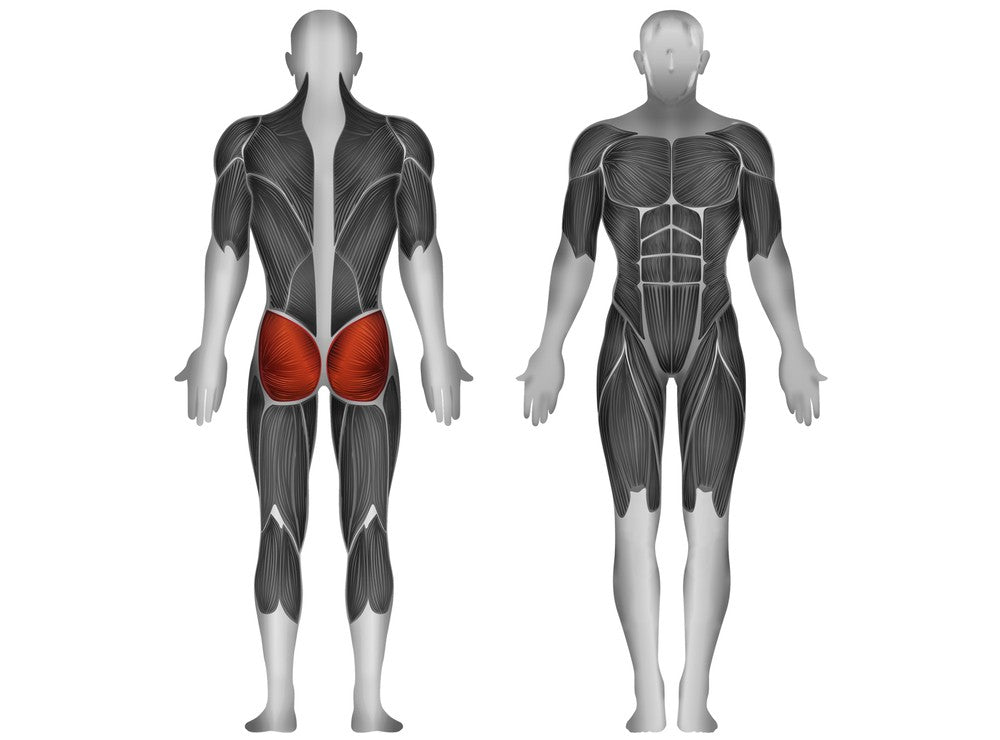 Steelflex Hip Thruster (PLHT-BR)